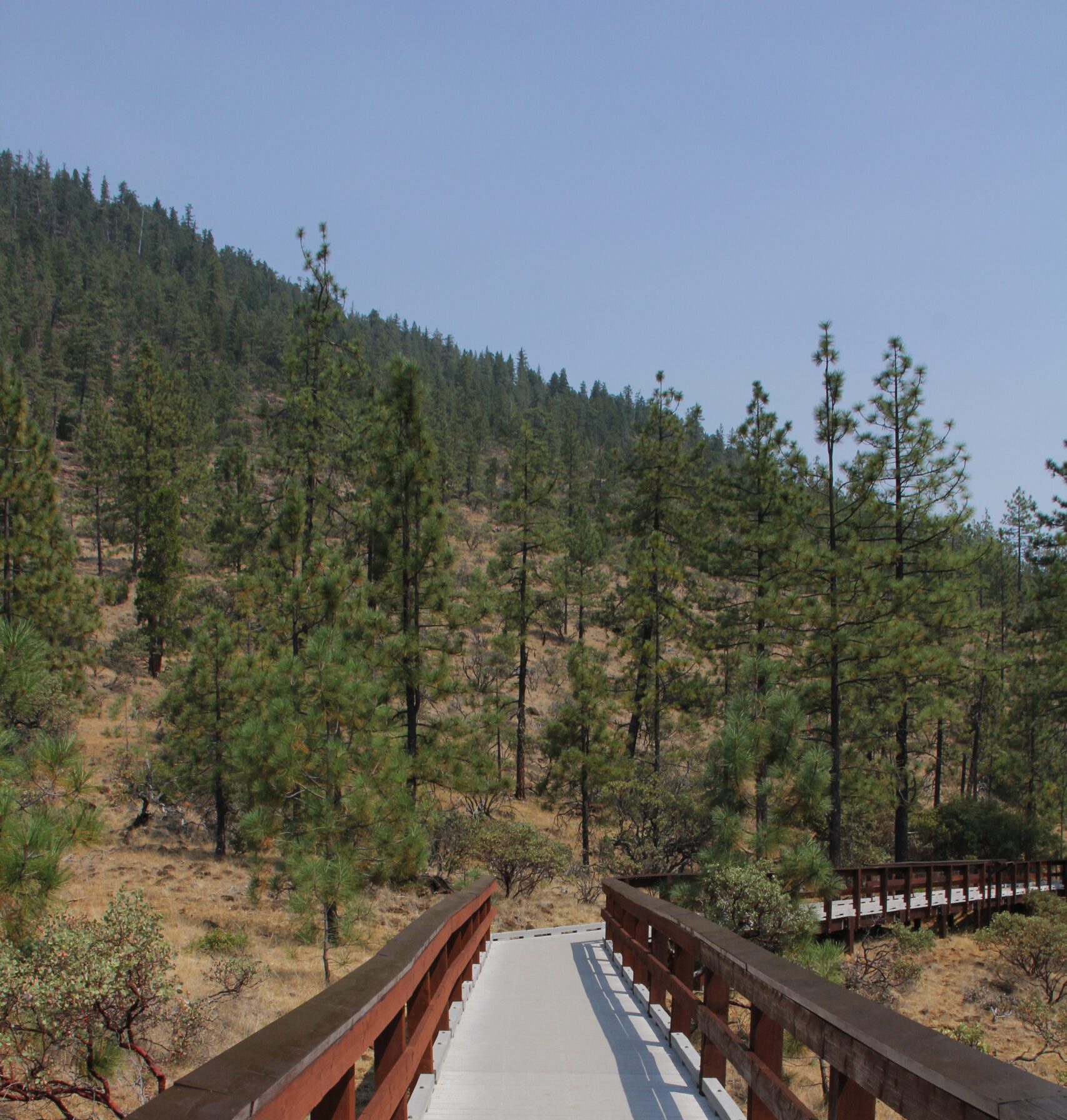flickr/ Bureau of Land Management Oregon and Washington